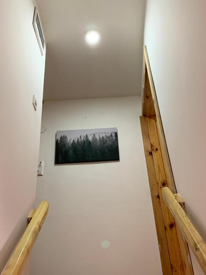 Mountain Vista Chalet Žabljak Exterior foto